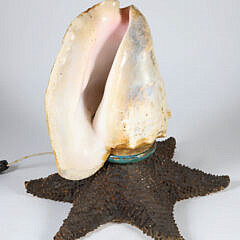 Vintage Conch Shell and Starfish Lamp