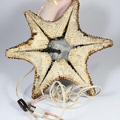 Vintage Conch Shell and Starfish Lamp