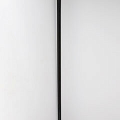 Carved Antique Whale Ivory and Ebony Walking Stick, 19th Century