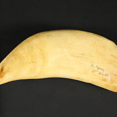 Robert Spring Polychrome Scrimshaw Whale Tooth “The Confederate Raider Shenandoah”, circa 1969