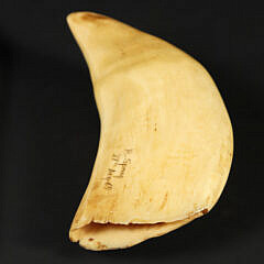 Robert Spring Polychrome Scrimshaw Whale Tooth “The Confederate Raider Shenandoah”, circa 1969