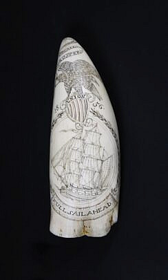 5-4836 Engraved Sperm Whale Tooth A 0244_3 JPG