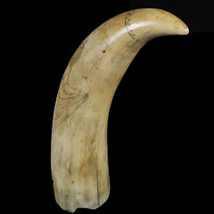 Scrimshaw Whale’s Tooth “Dancing Lady”, 19th Century