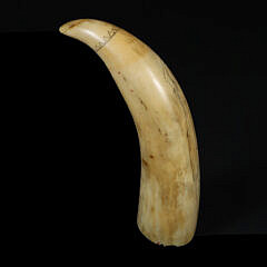 Scrimshaw Whale’s Tooth “Dancing Lady”, 19th Century
