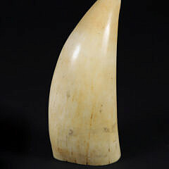 Scrimshaw Whale’s Tooth Portrait of a Seated Lady, 19th Century