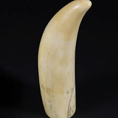 Scrimshaw Whale’s Tooth Portrait of a Seated Lady, 19th Century