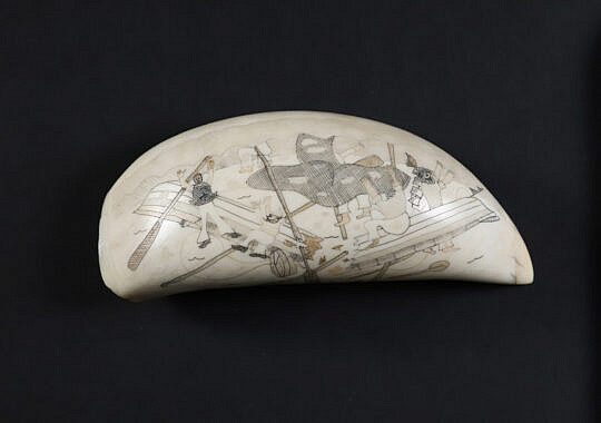 Scrimshaw Whale Tooth "Stove Boat Aribus"