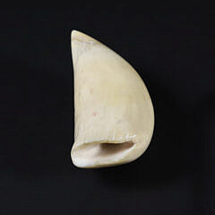 Polychrome Scrimshaw Whale Tooth “Stove Boat Aribus”