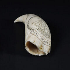 Engraved “Full Sail Ahead” Sperm Whale Tooth Attributed to Israel Young, Scituate, Massachusetts