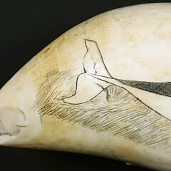 Scrimshaw Whale Tooth Ship Wiscasset “Richard Macy Master on the coast of New Zealand April 1836”