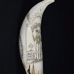 Engraved “Full Sail Ahead” Sperm Whale Tooth Attributed to Israel Young, Scituate, Massachusetts