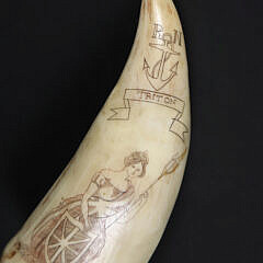 Scrimshaw Whale’s Tooth “Triton”, 19th Century