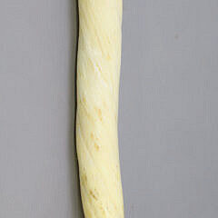 Antique Narwhal Tusk, 19th Century