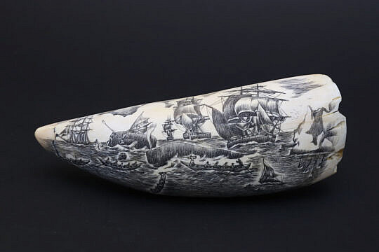 Fine Contemporary Scrimshaw Whale