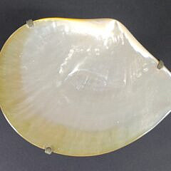 Vintage Maitland Smith Shell Tazza Caviar Dish