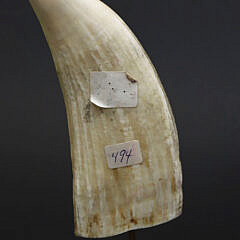 Fine Contemporary Scrimshaw Whale’s Tooth, mid 20th Century