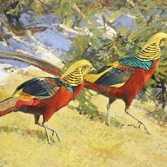 Stephen C. Elliott Oil on Board “Golden Pheasant”