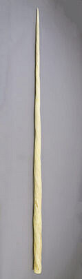 2-5623 Antique Narwhal Tusk, 19th Century A IMG_9592