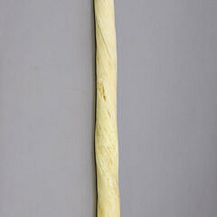 Antique Narwhal Tusk, 19th Century
