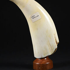 Fine Lane Brower Contemporary Scrimshaw Whale’s Tooth, mid 20th Century