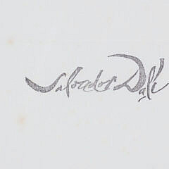 Salvator Dali Limited Edition Print “Woman With Parrot”