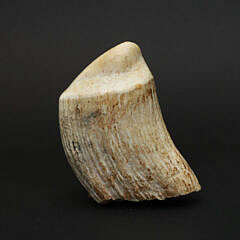 Fine B. Sielicki Contemporary Scrimshaw Whale’s Tooth, mid 20th Century