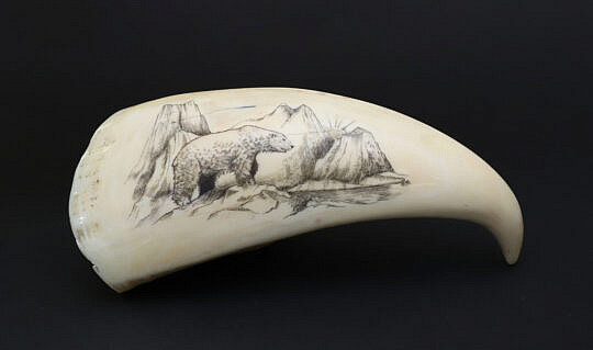 Fine Contemporary Scrimshaw Whale