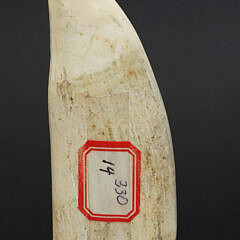 Fine Frank Barcelos Contemporary Scrimshaw Whale’s Tooth, mid 20th Century