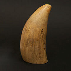 Antique Whales Tooth, 19th Century