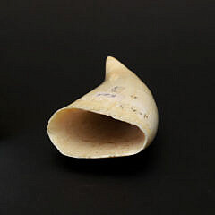 Contemporary Scrimshaw and Polychromed Whale’s Tooth, 20th Century