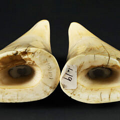 Pair of American Scrimshaw Antique Whale’s Teeth, circa 1840