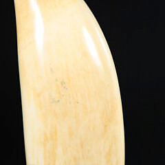 Antique Scrimshaw Whale’s Tooth, 19th Century