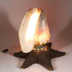 Vintage Conch Shell and Starfish Lamp