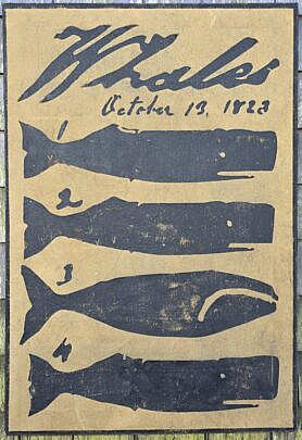 4483-955 Whale Species Painting A