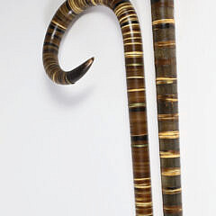 Two Carved Horn Disc Canes, 19th Century