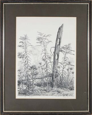 999 ALbert Bross Jr. Pen + Ink Golden Rod Still Life A_IMG_9882