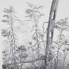 Albert Bross Limited Edition Print “Golden Rod”