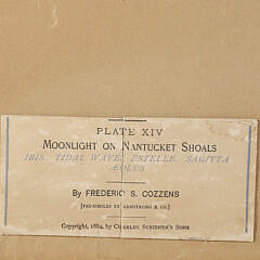 Frederic S. Cozzens Lithograph “Moonlight on Nantucket Shoals”, Plate XIV