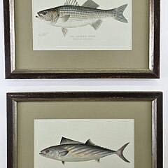 Two Sherman Foote Denton Fish Chromolithographs