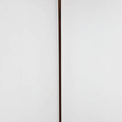 English Engraved Phrenology Head Grip Walking Stick, circa 1870