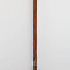 French Carved Crocodile T-Handle Grip Cane, 19th Century