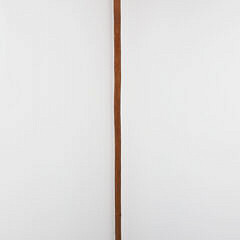 French Carved Crocodile T-Handle Grip Cane, 19th Century