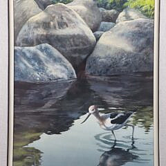Robert Reynolds Watercolor on Rag Paper “In the Shallows”