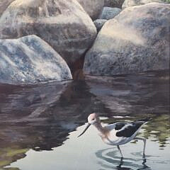 Robert Reynolds Watercolor on Rag Paper “In the Shallows”