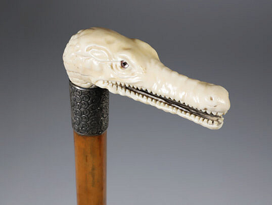 English Finely Carved Crocodile Cane, 19th Century