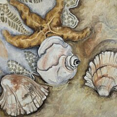 Vintage Oil on Canvas Beached Seashells Still Life Painting, 20th century