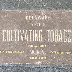Vintage Figural Cultivating Tobacco Native American Diorama, 20th century