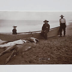 “A Portfolio of Photographs 1871-circa 1900” From the Collection of the Nantucket Historical Association