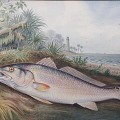 Pair of Samuel A. Kilbourne Chromolithographs “Portrait of Fish”