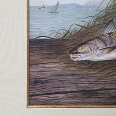 Pair of Samuel A. Kilbourne Chromolithographs “Portrait of Fish”